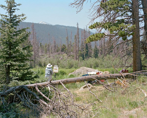 ROCKY MOUNTAINS TIME